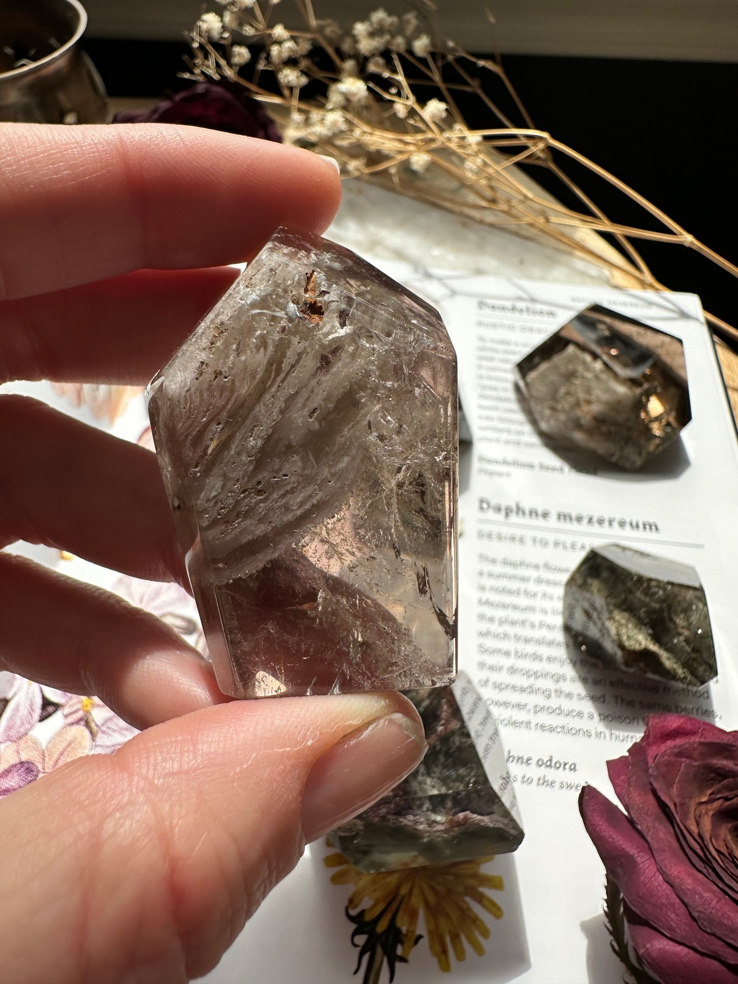 Garden quartz free form C