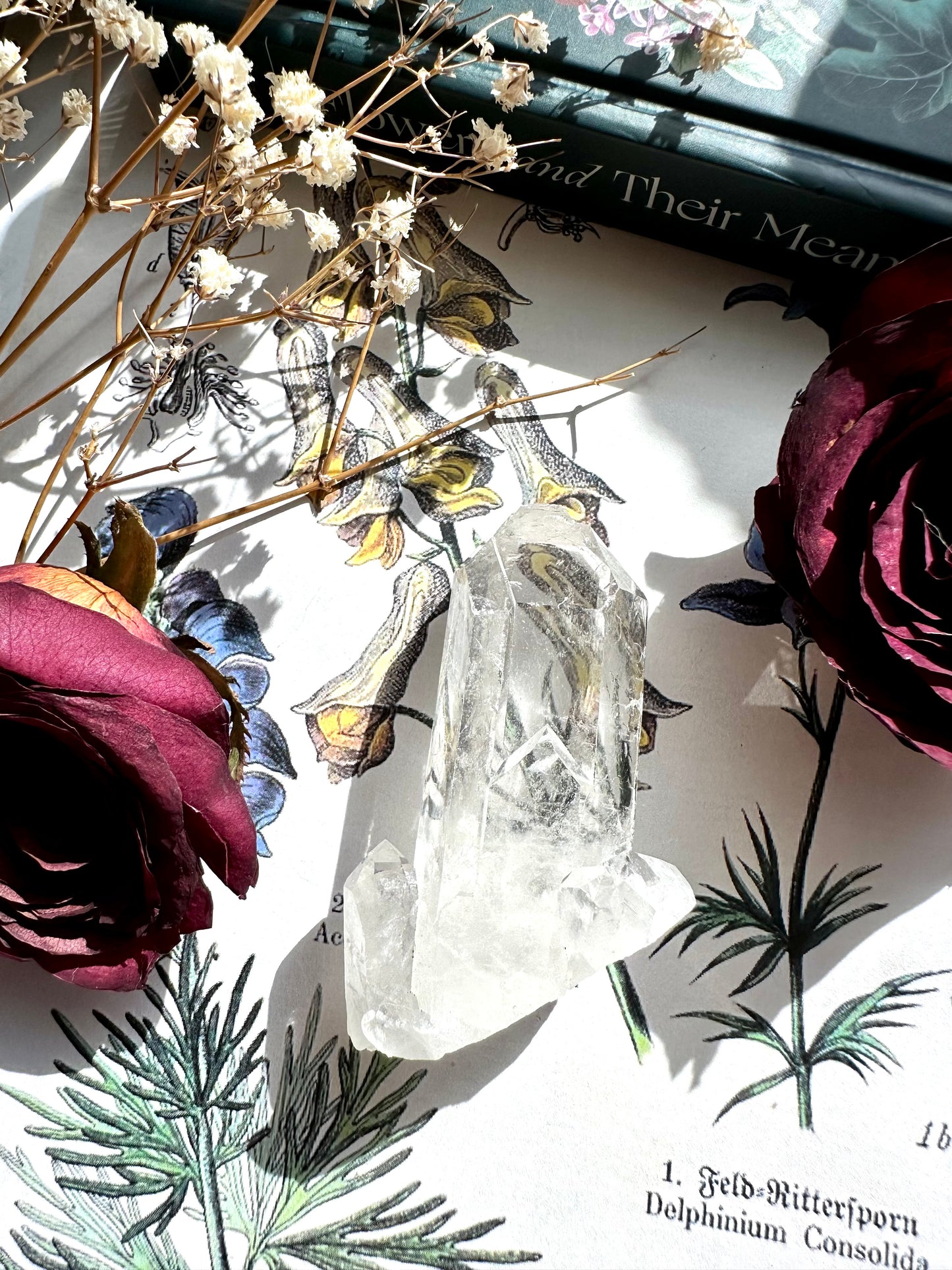 Clear quartz cluster H