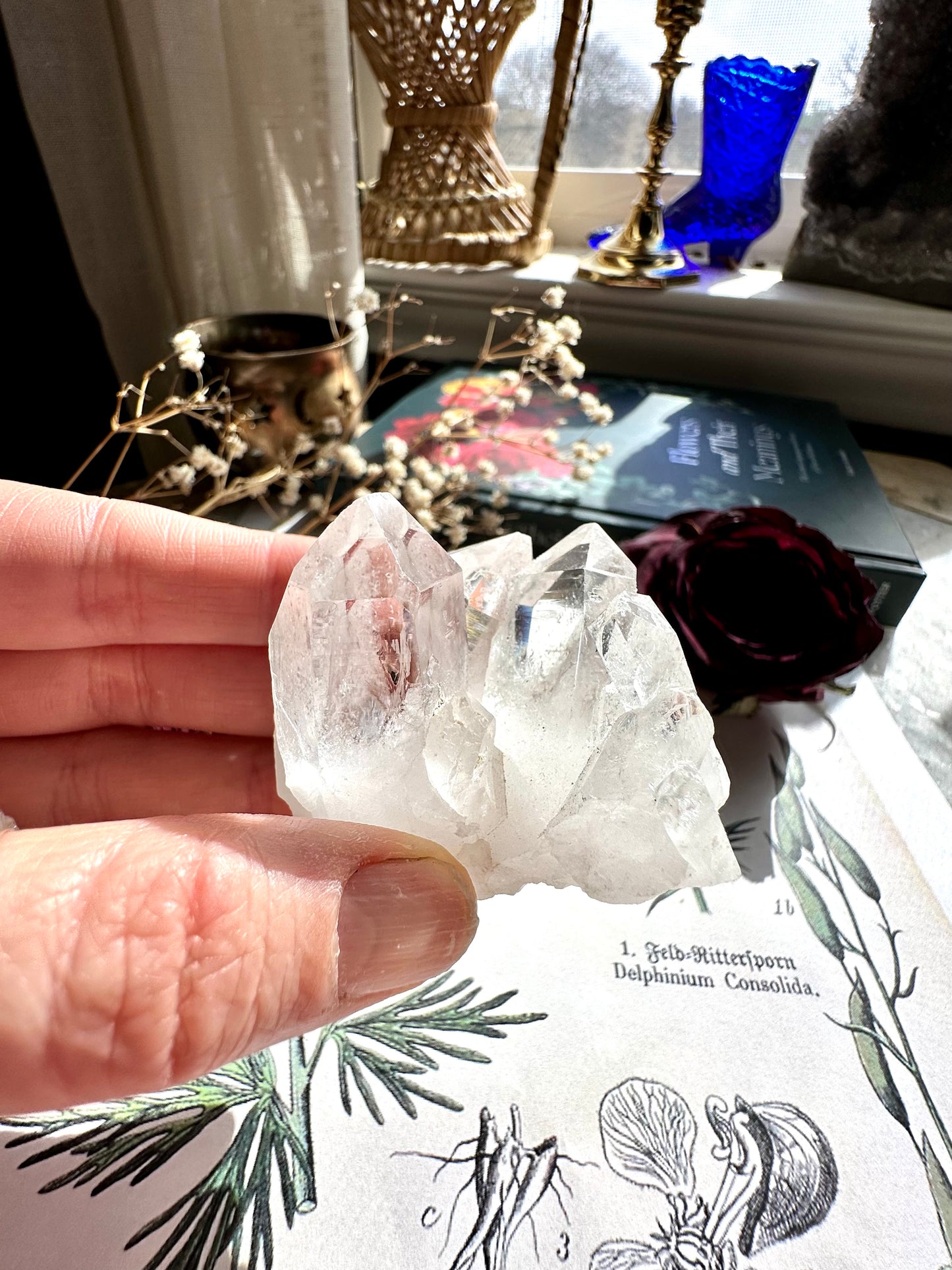 Clear quartz cluster D