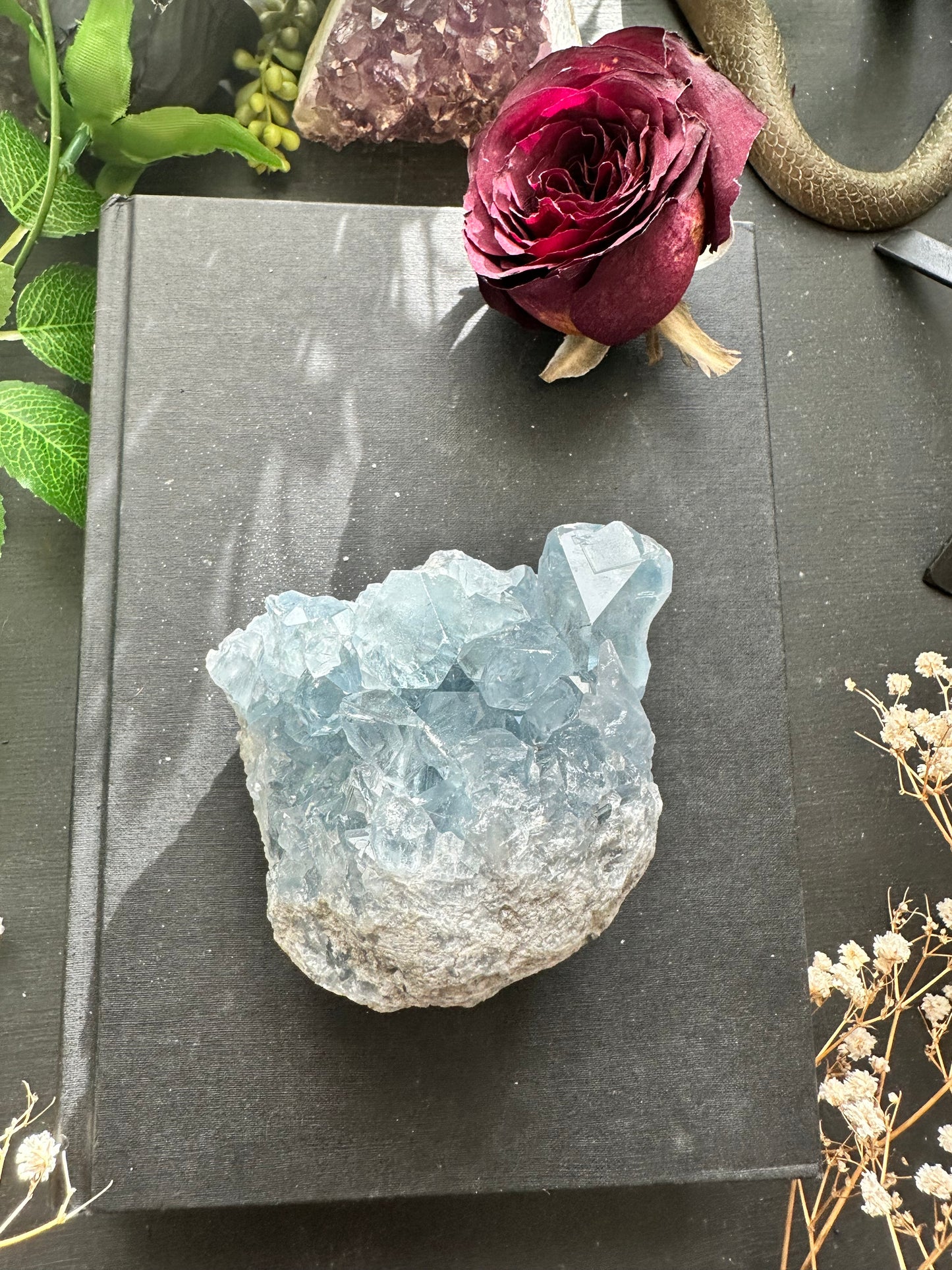 Celestite cluster E