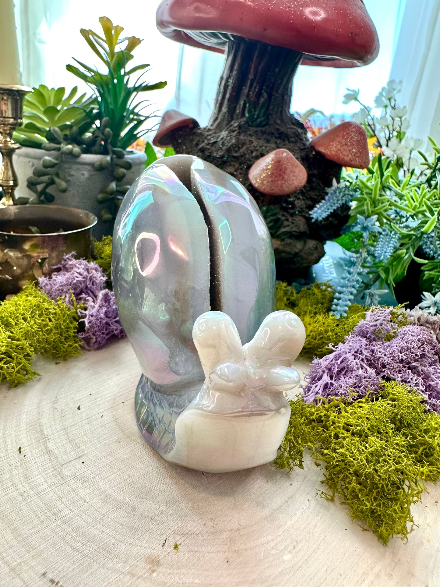 Aura agate snail A