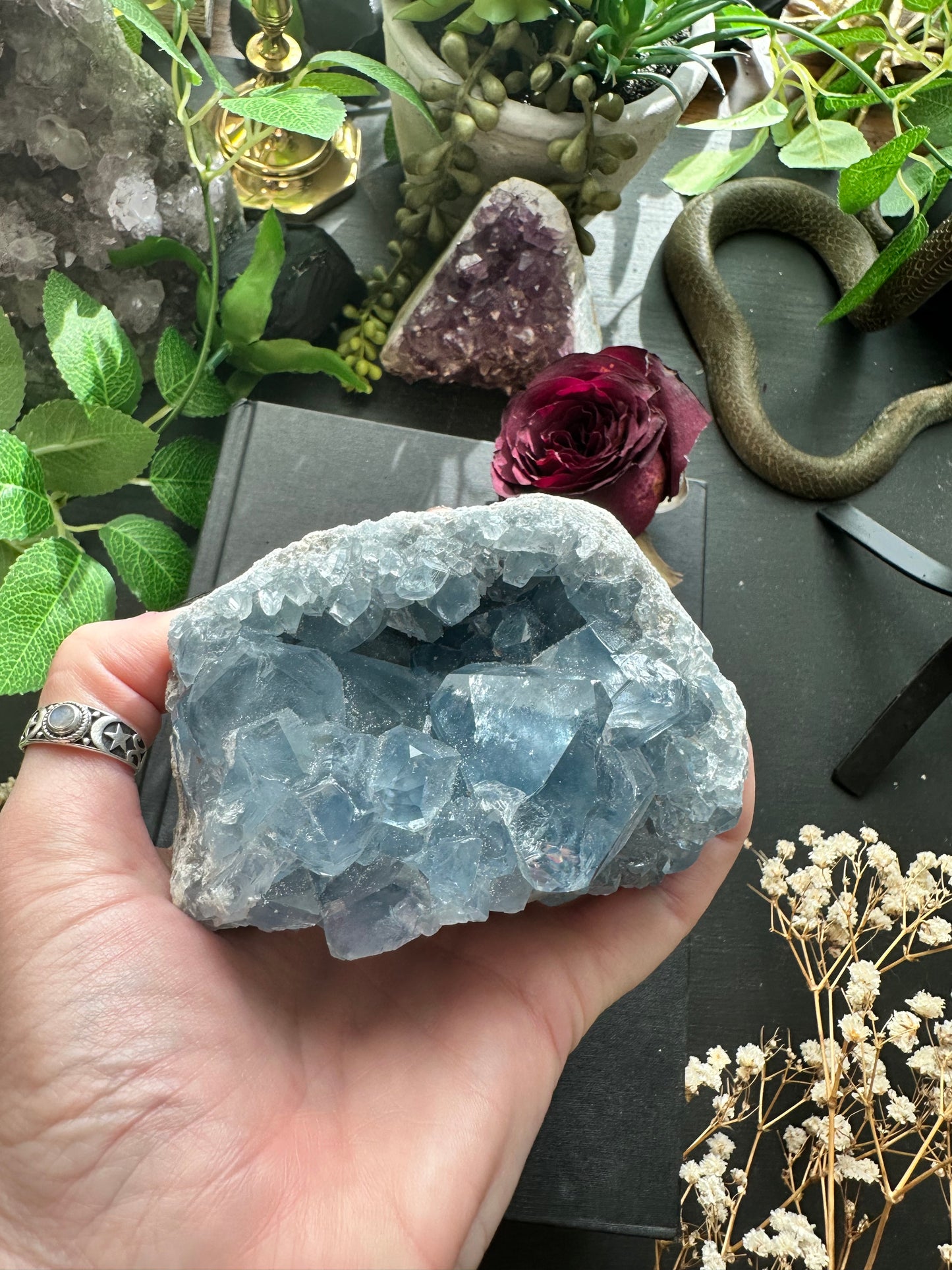 Celestite cluster c
