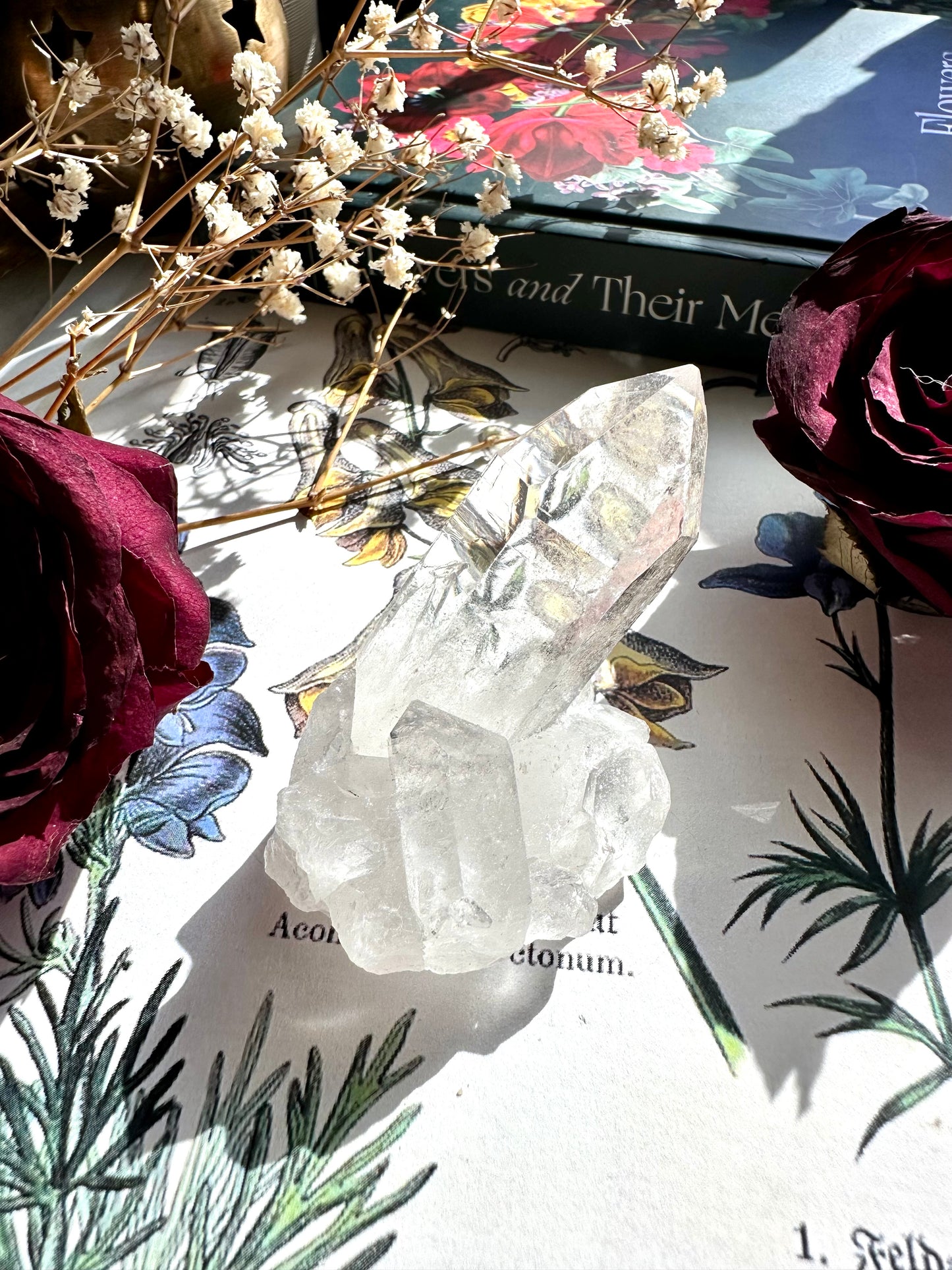 Clear quartz cluster G