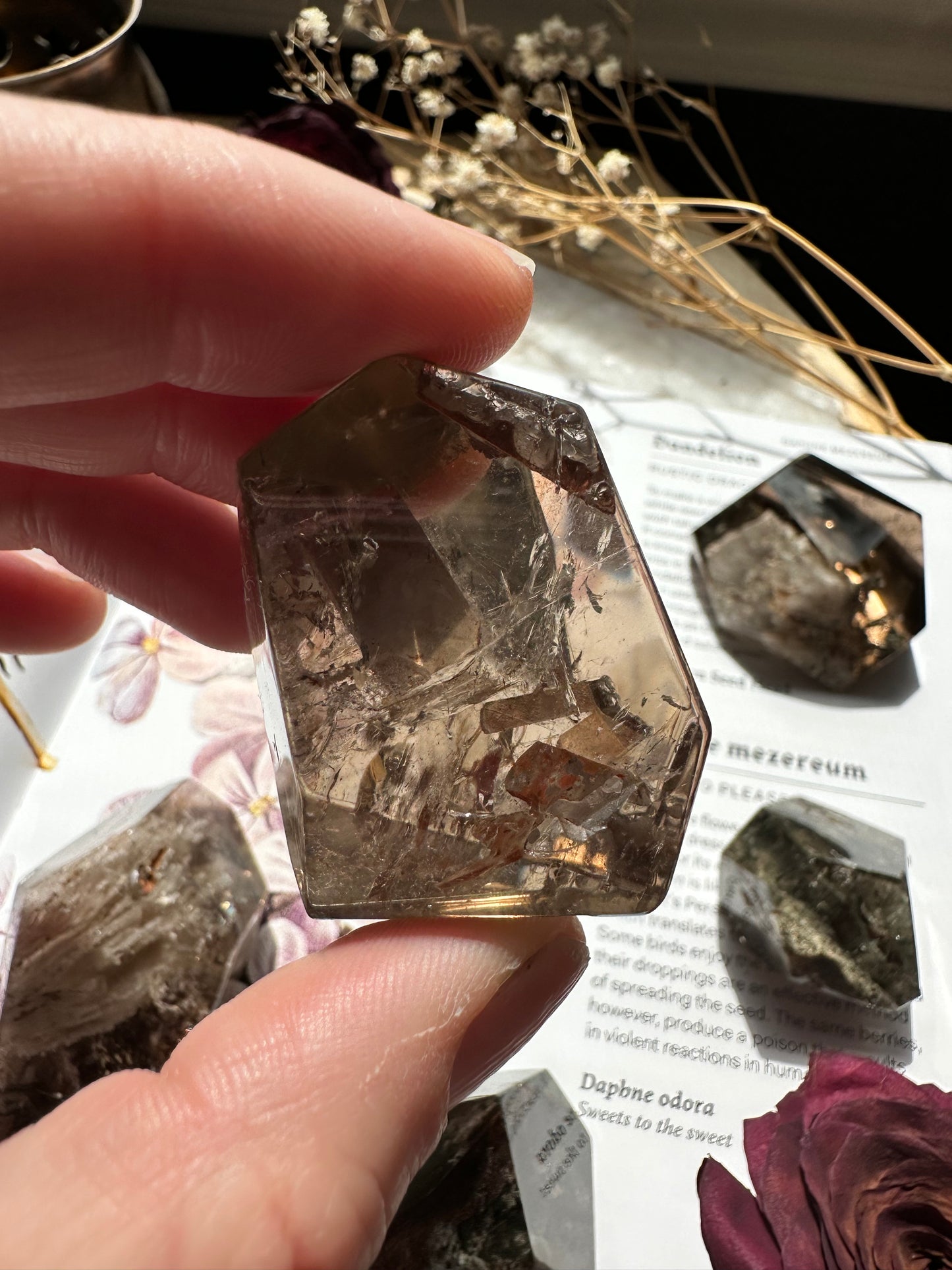 Garden quartz free form E