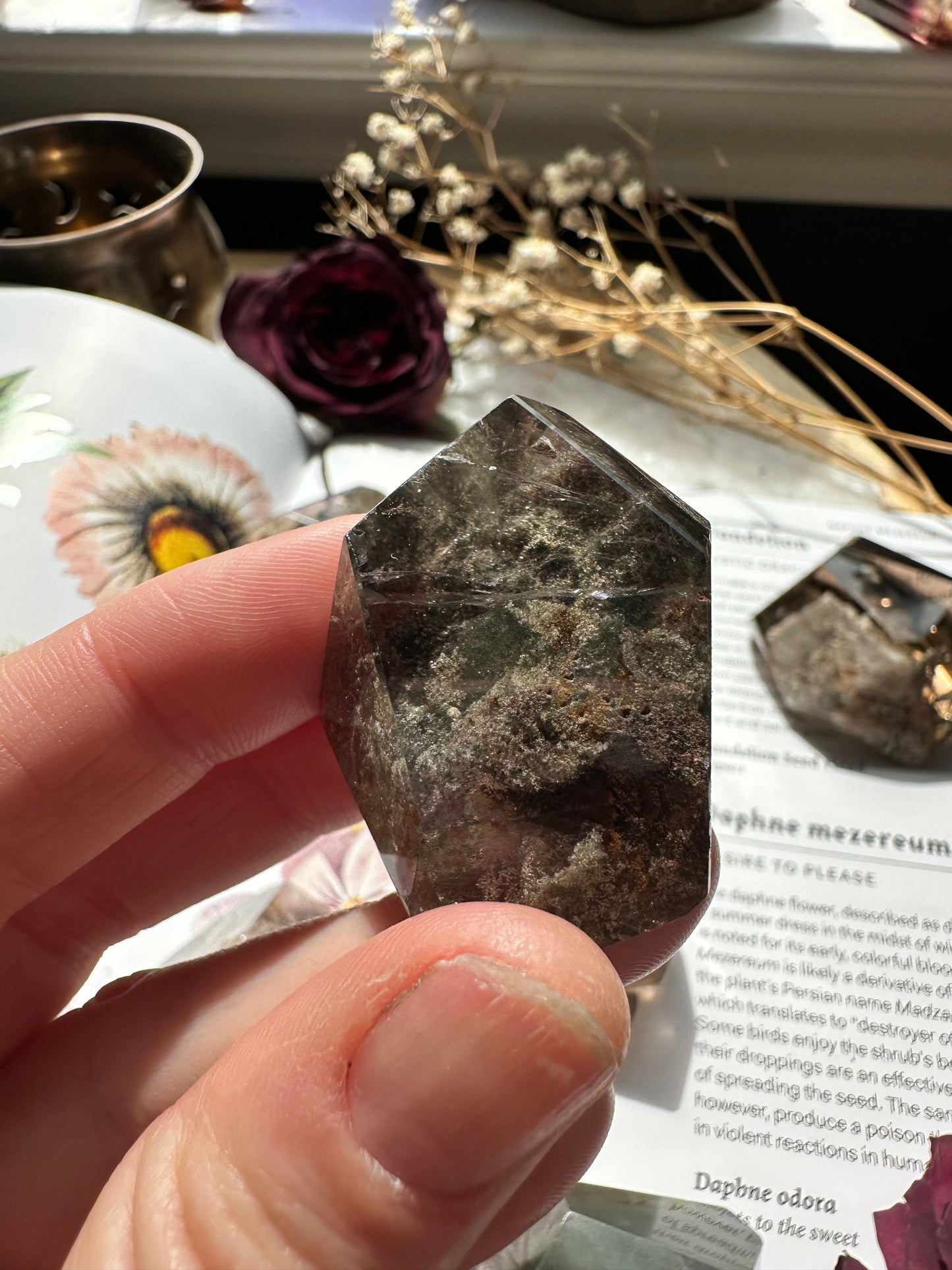 Garden quartz free form F