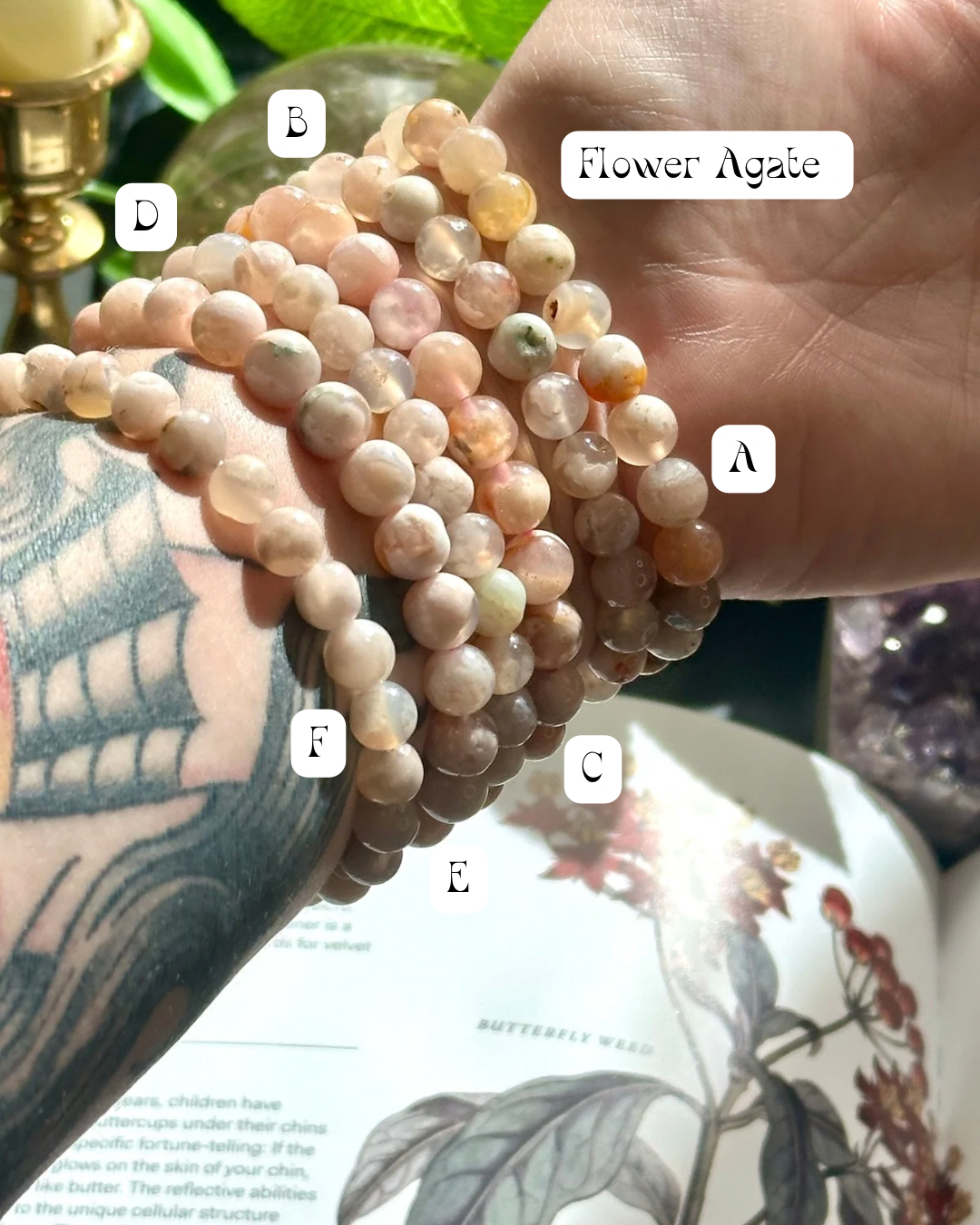 Flower agate bracelet