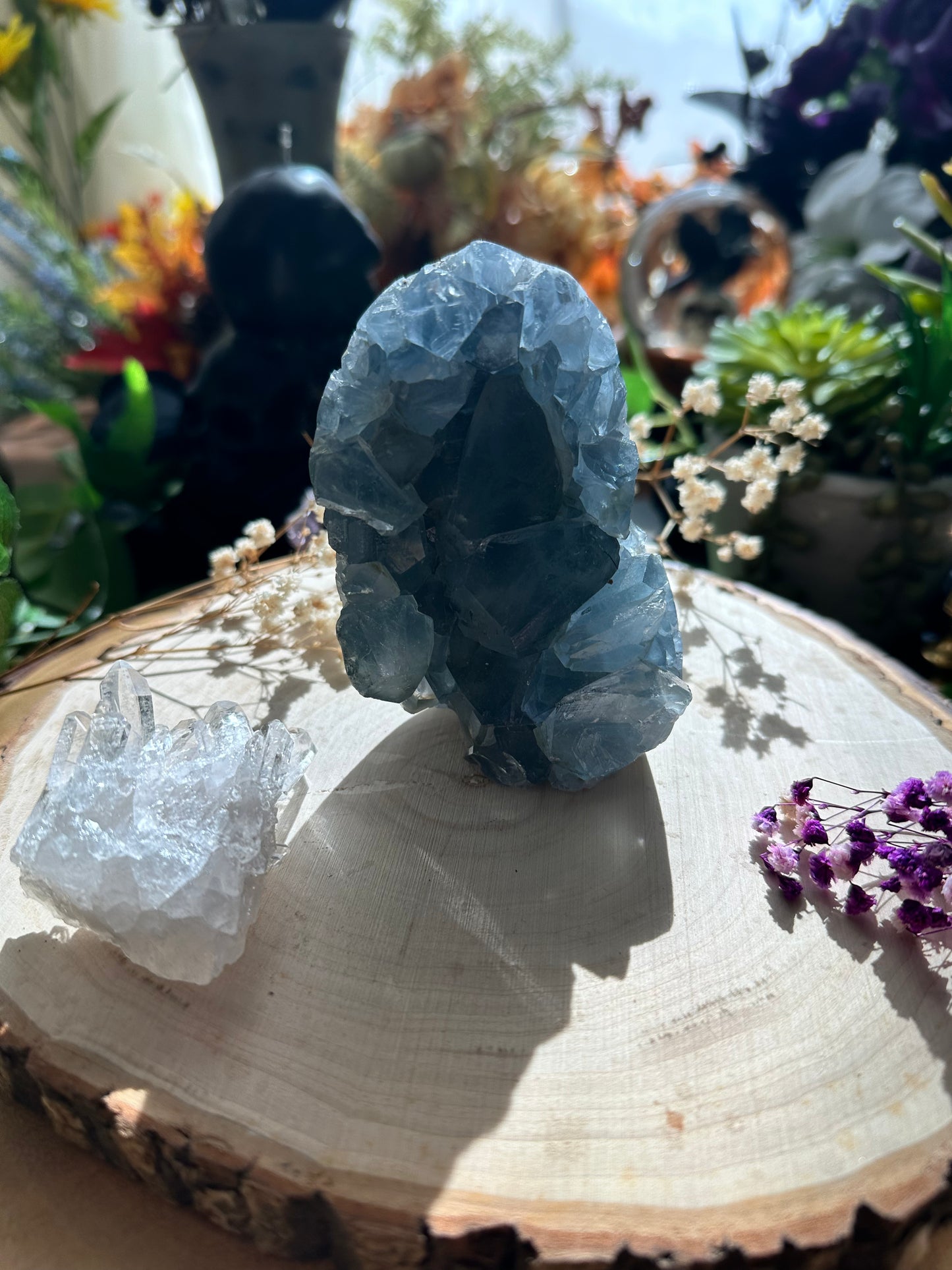 Raw Celestite Cut Base