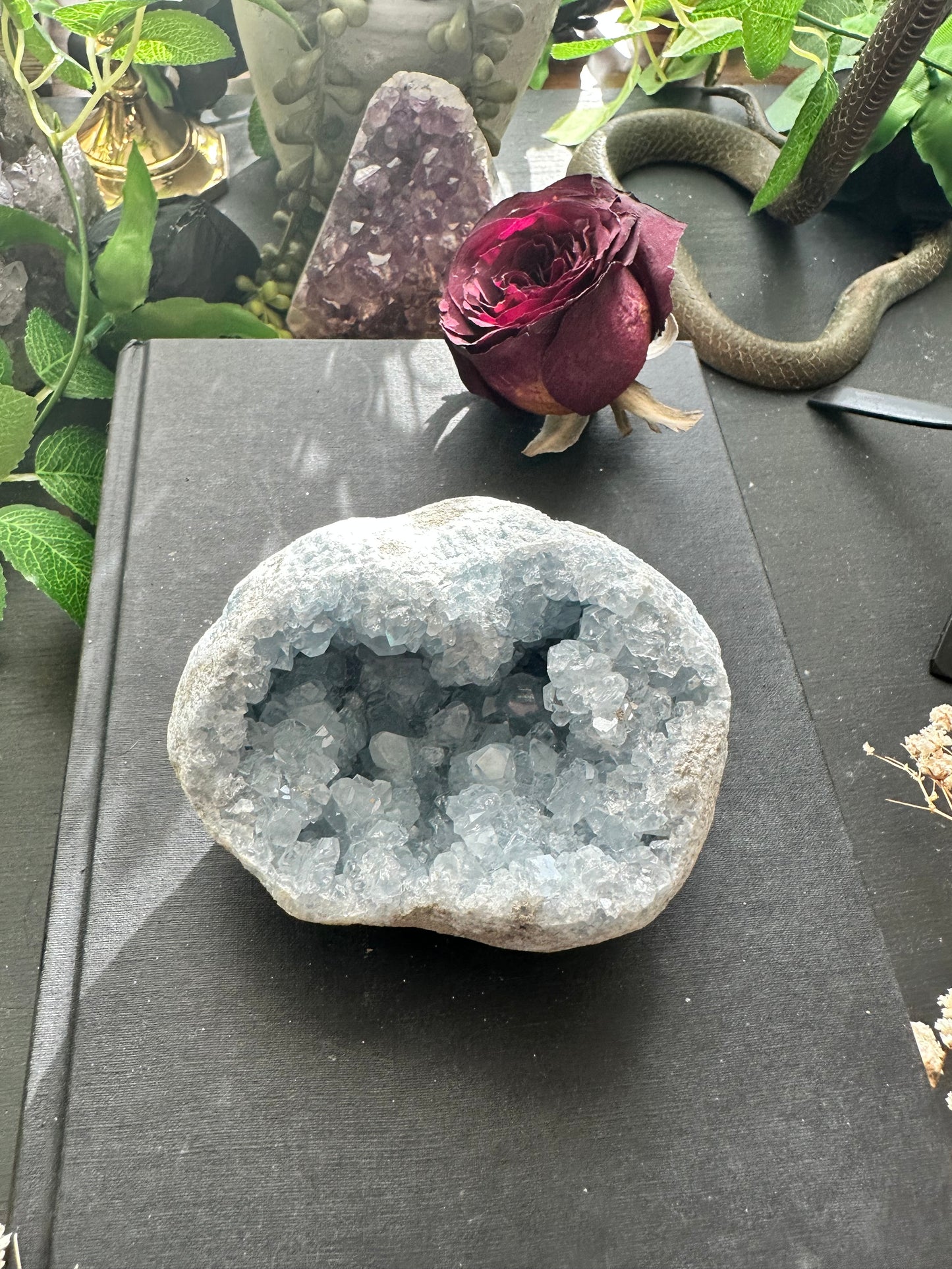 Celestite cluster D