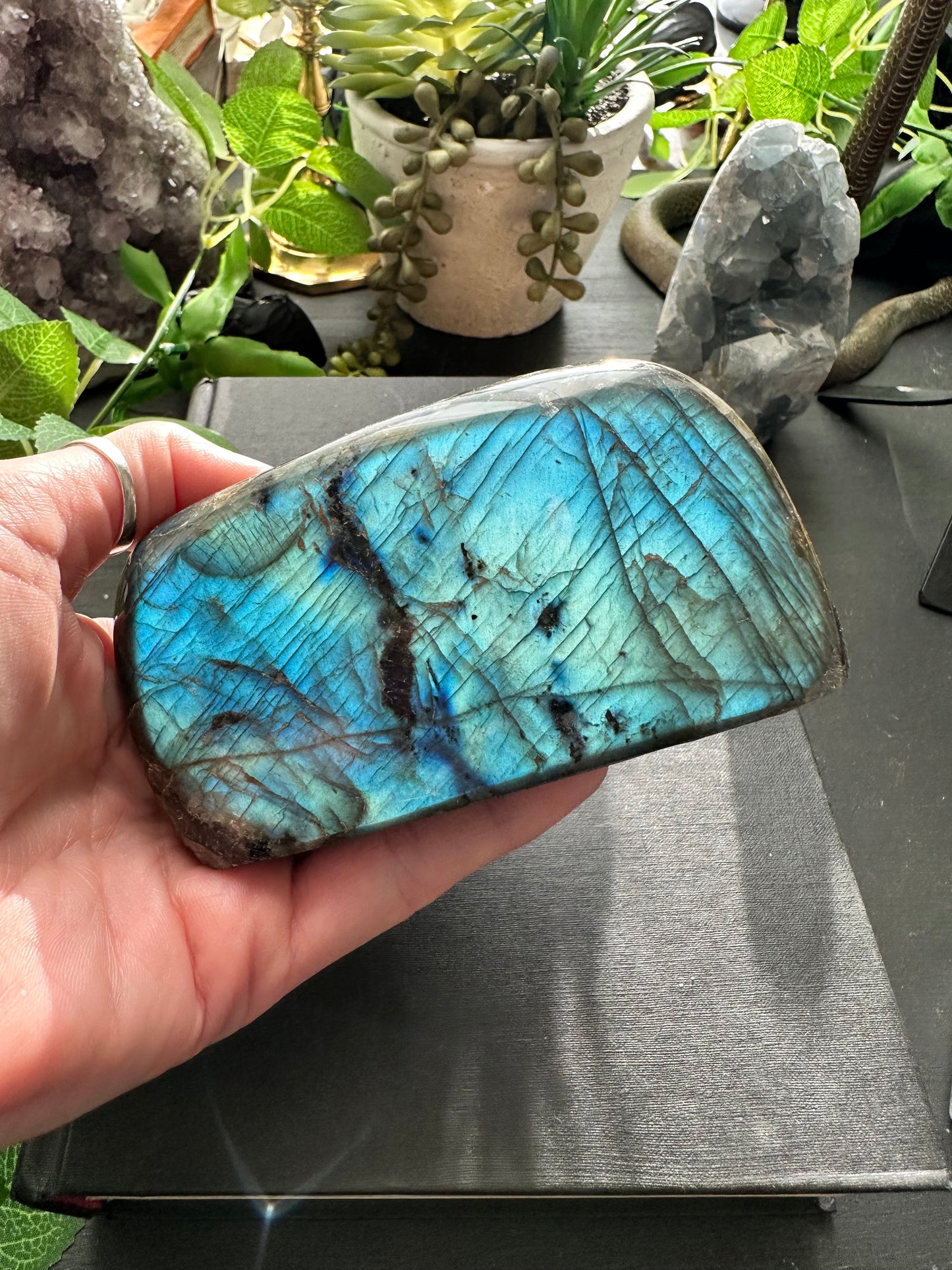 AAA quality labradorite polished Freeforms
