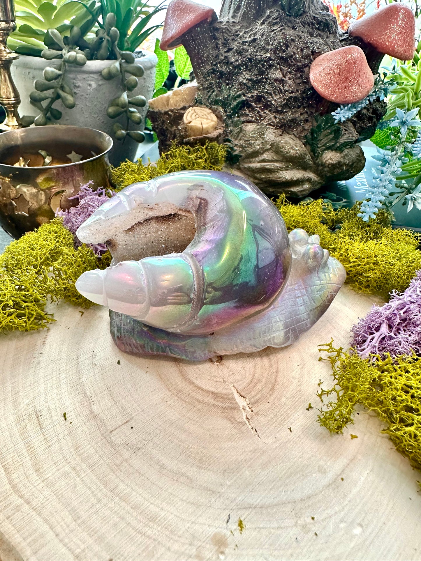 Aura agate snail D