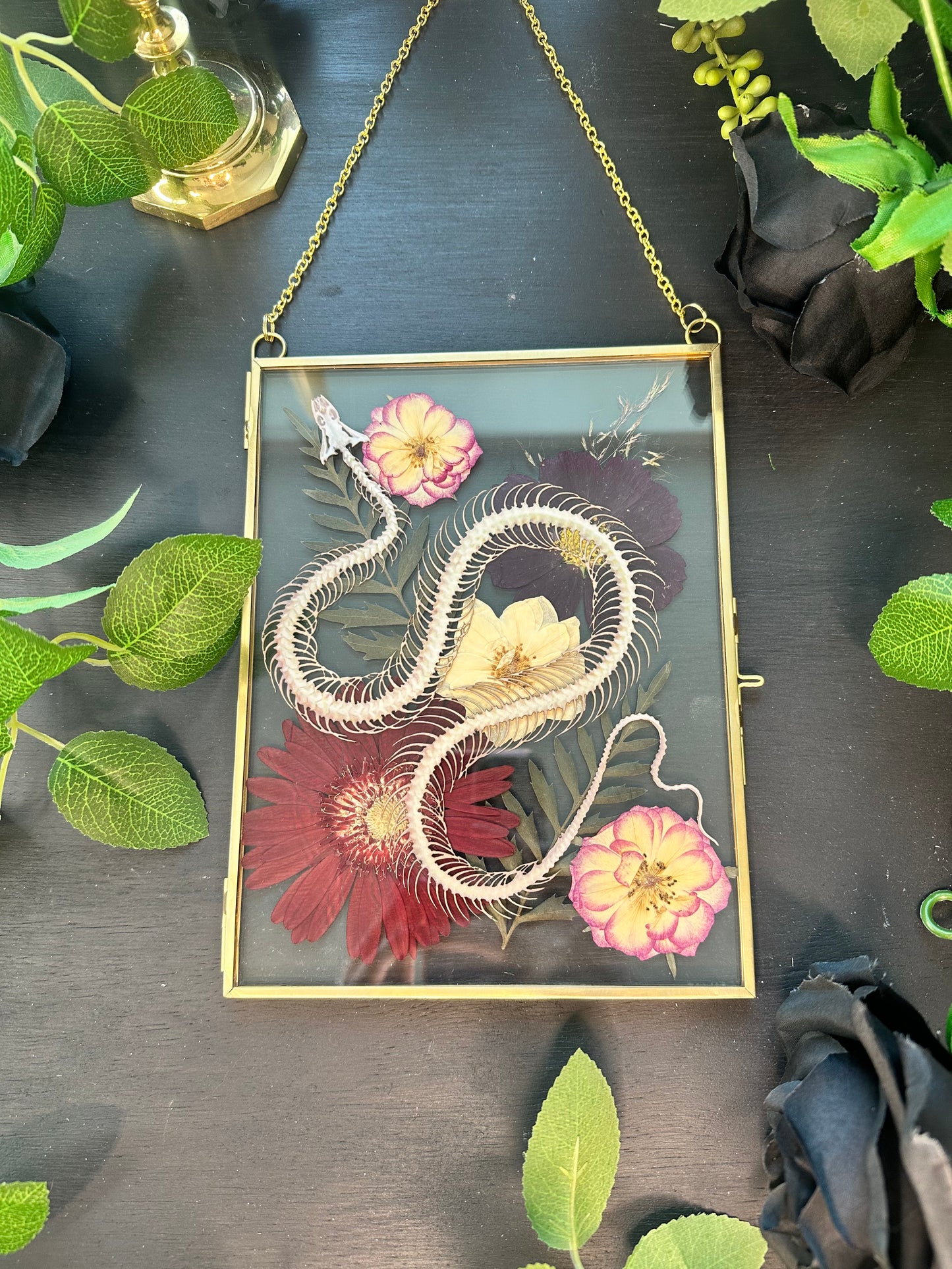 Floral snake skeleton gold double pane glass frame with chain wall hang