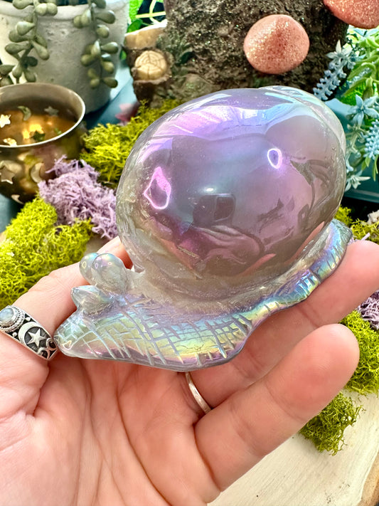 Aura agate snail D