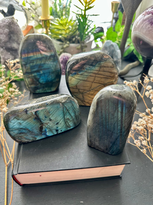 AAA quality labradorite polished Freeforms