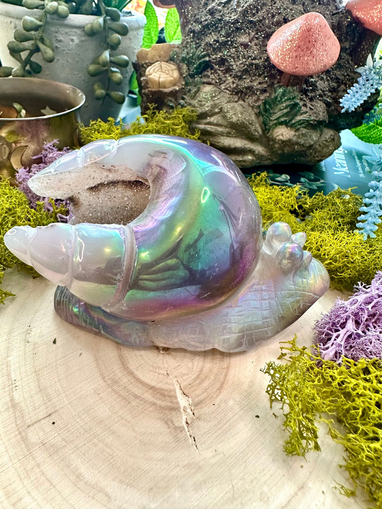 Aura agate snail D