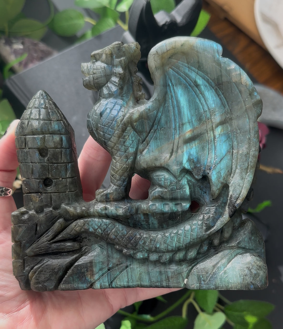 Labradorite griffin castle carving ￼