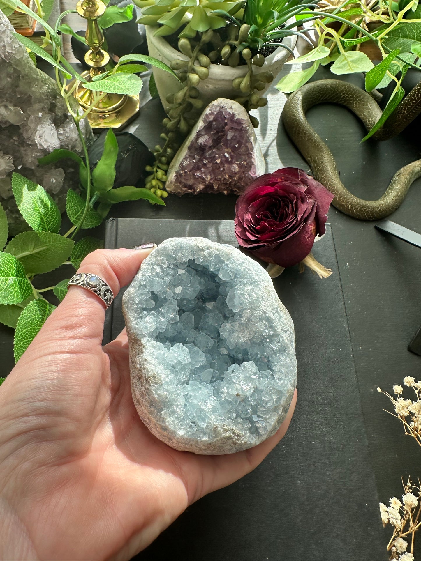Celestite cluster D