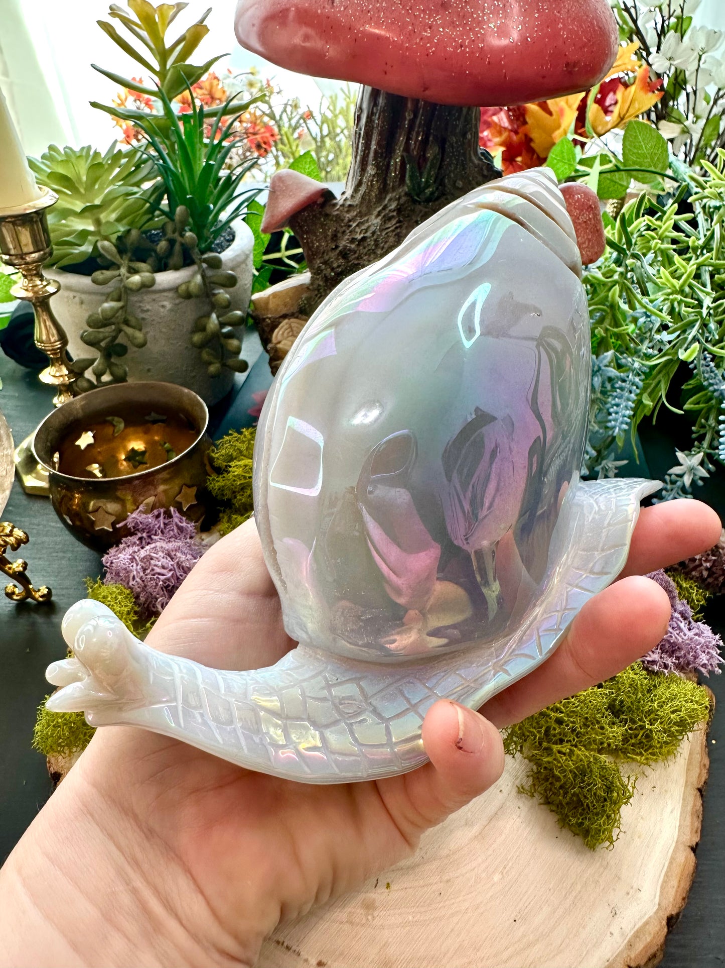 Aura agate snail A