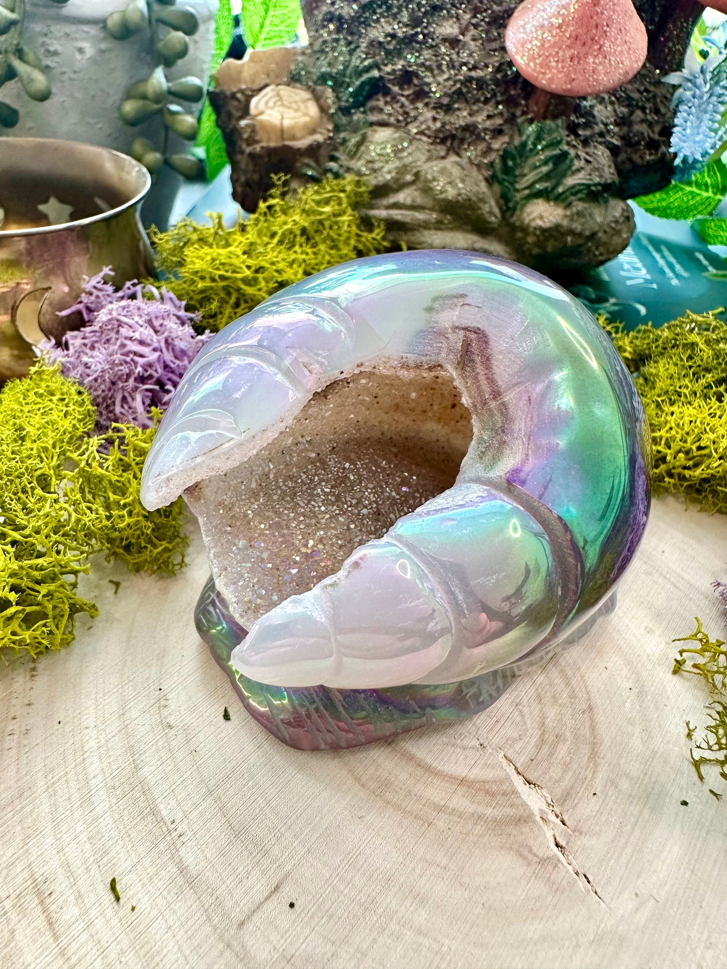 Aura agate snail D