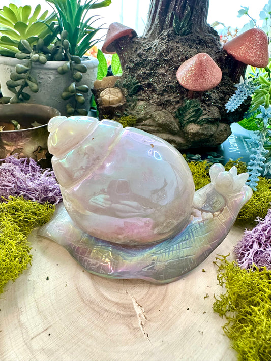 Aura agate snail C