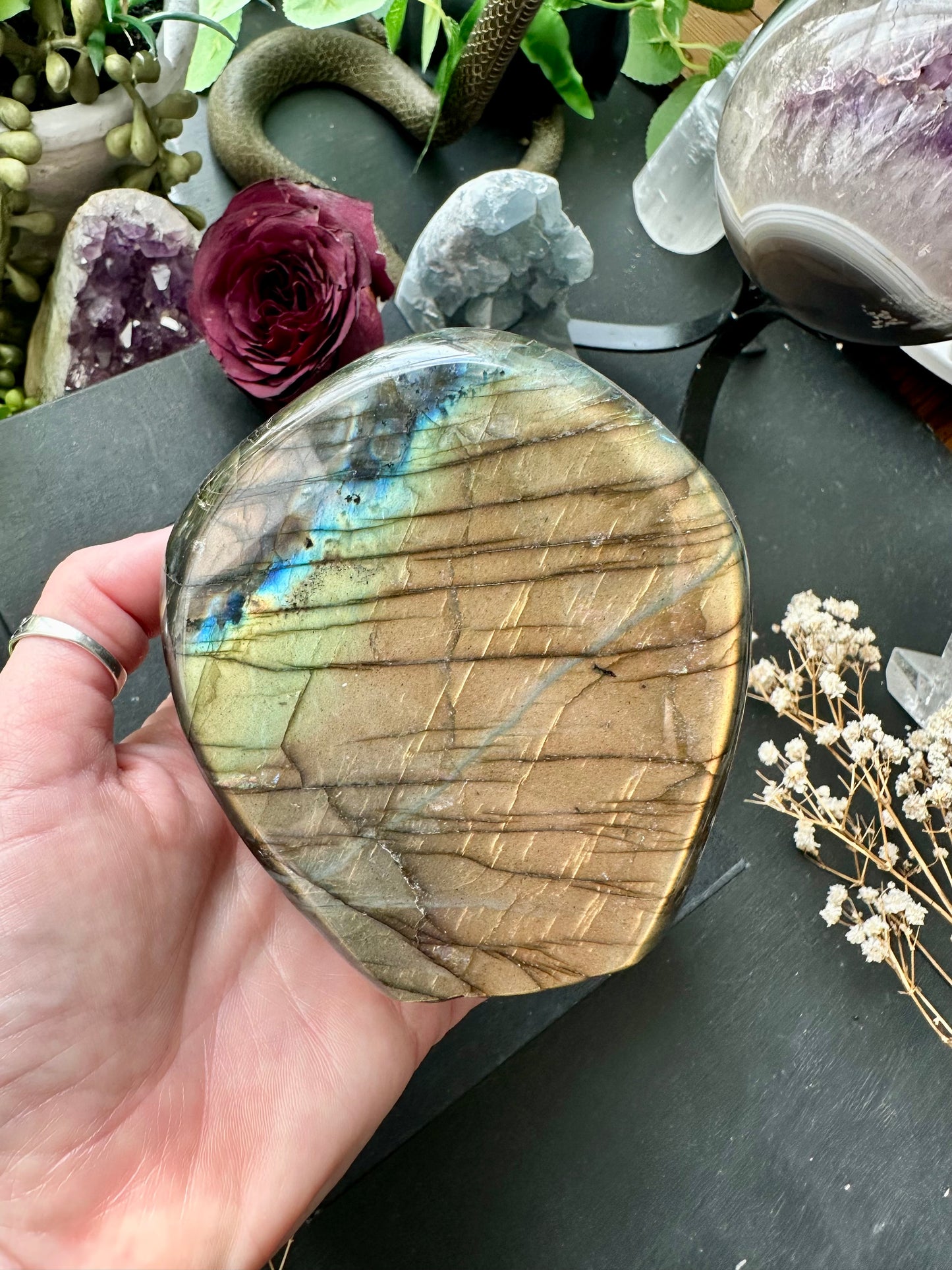 AAA quality labradorite polished Freeforms