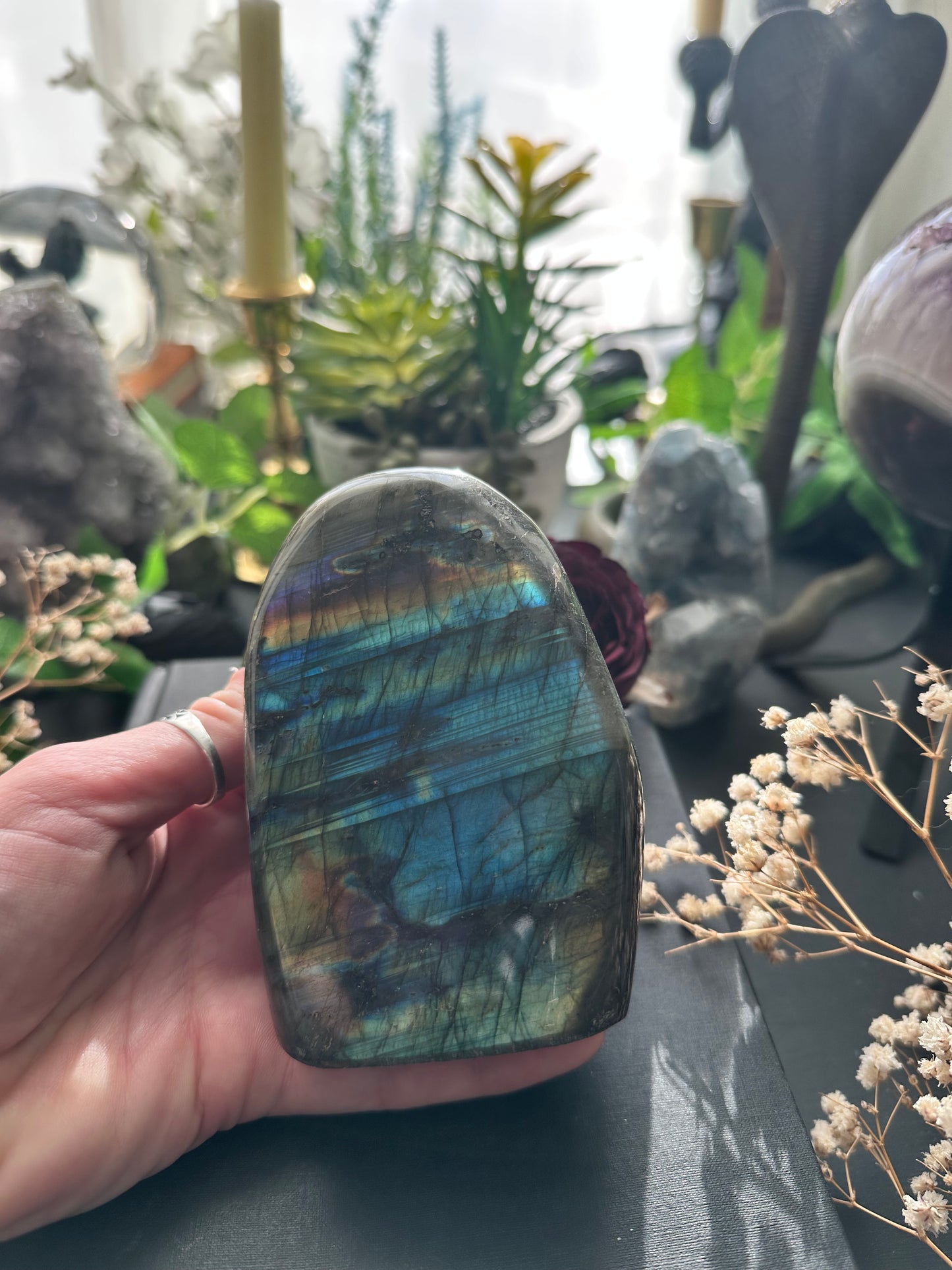 AAA quality labradorite polished Freeforms