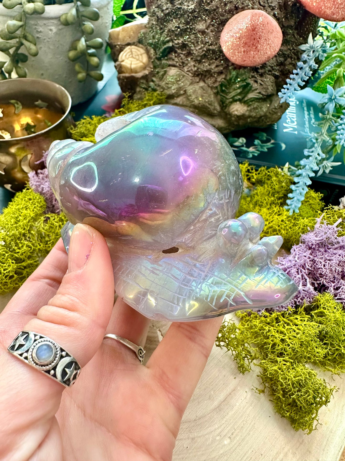 Aura agate snail D