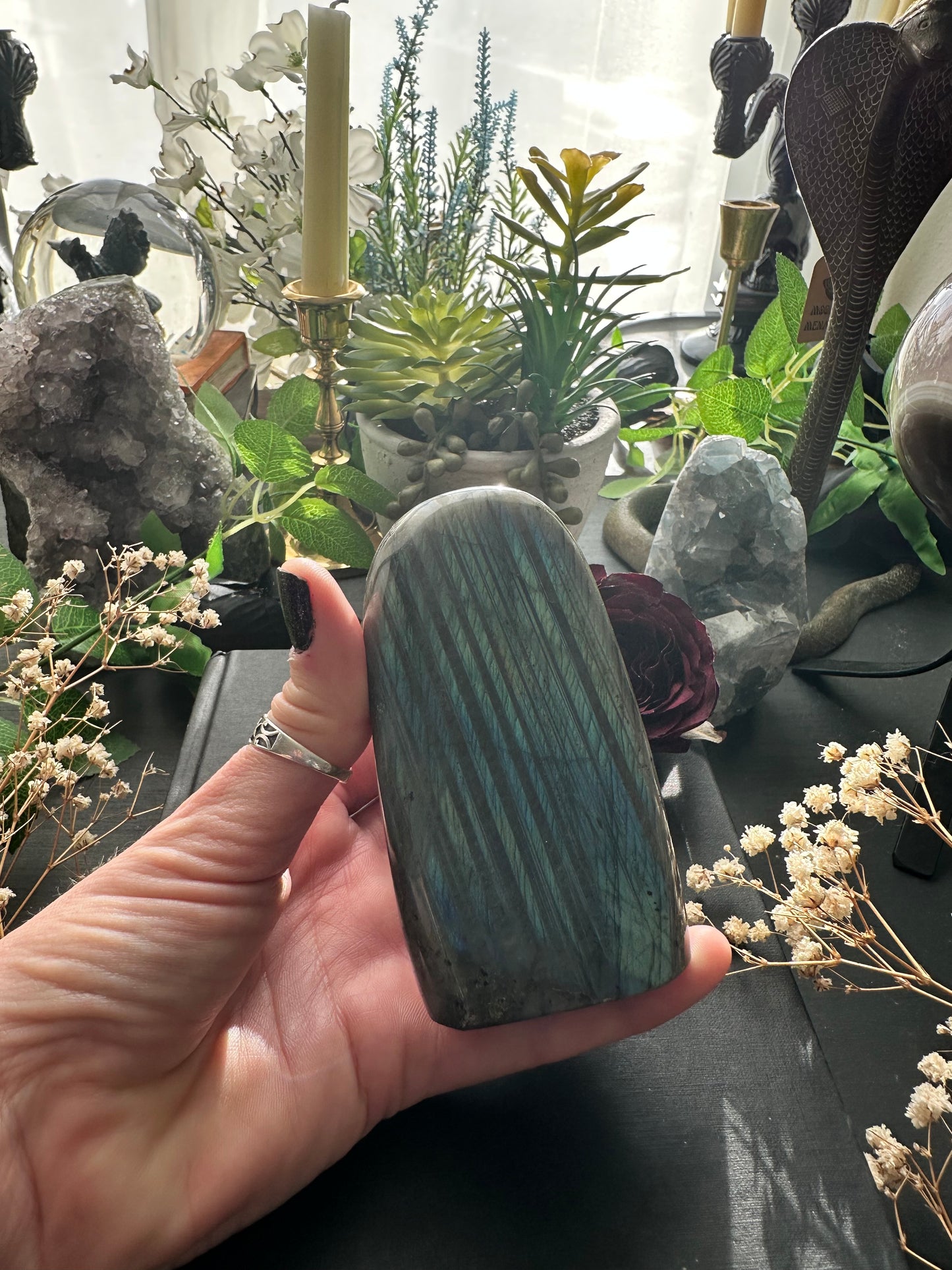 AAA quality labradorite polished Freeforms