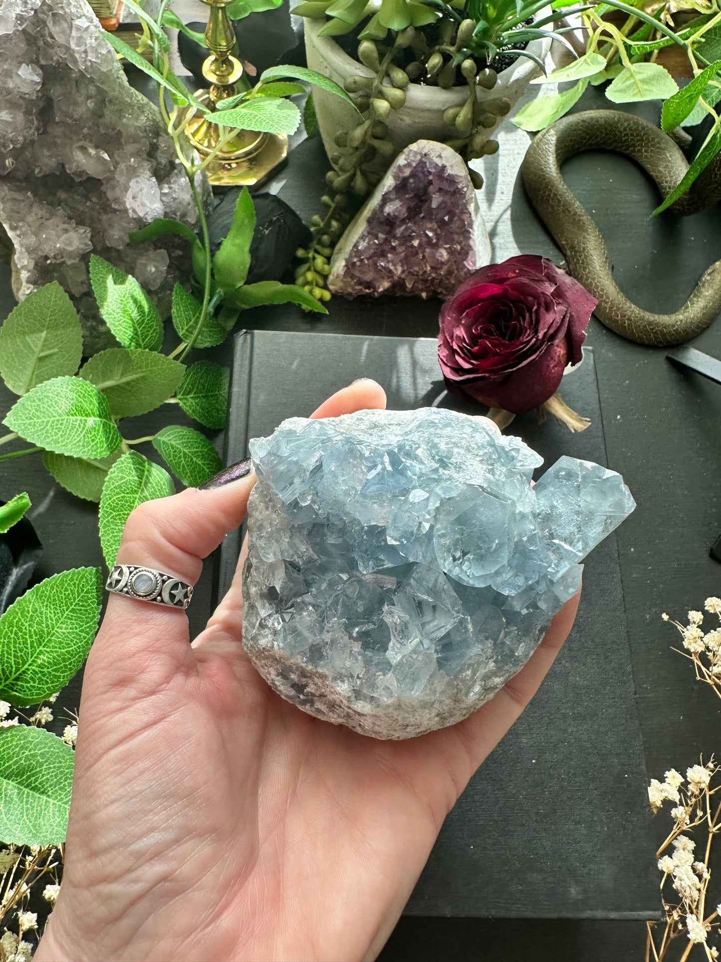 Celestite cluster E