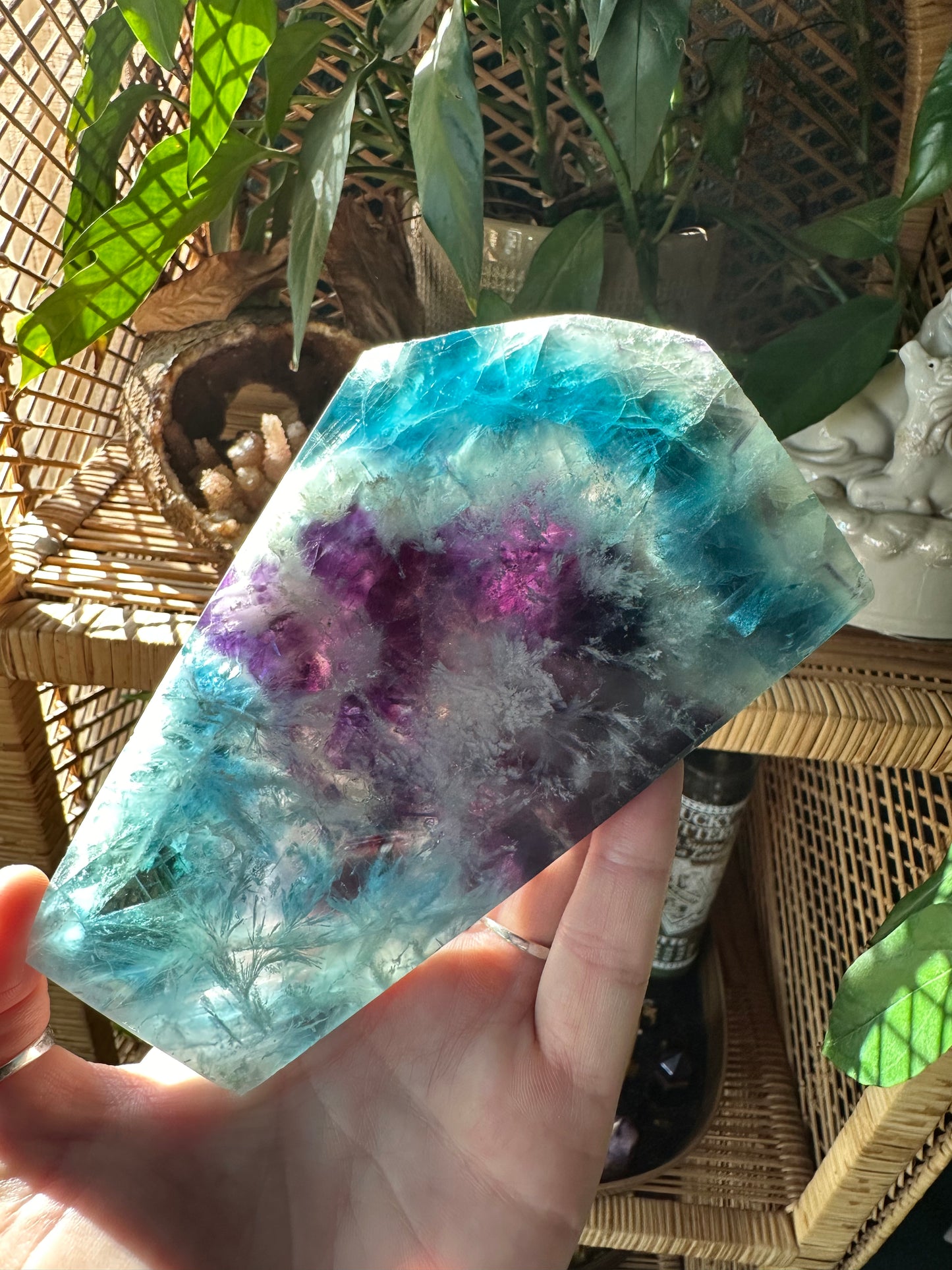 Small Feather Fluorite Slab