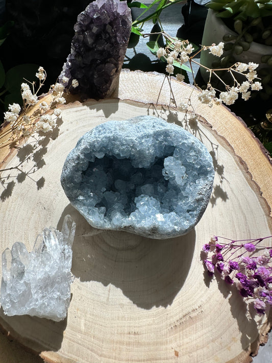 Raw Celestite Cluster