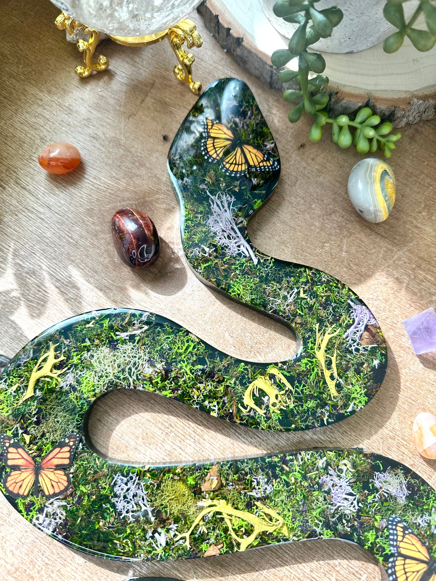 Mossy sunstone butterfly resin snake wall hang
