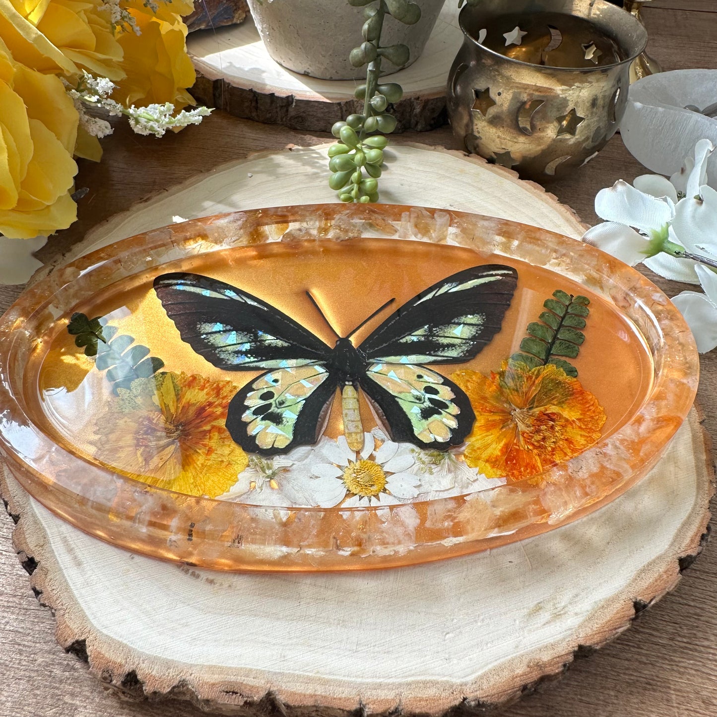 Citrine birdwing butterfly trinket tray