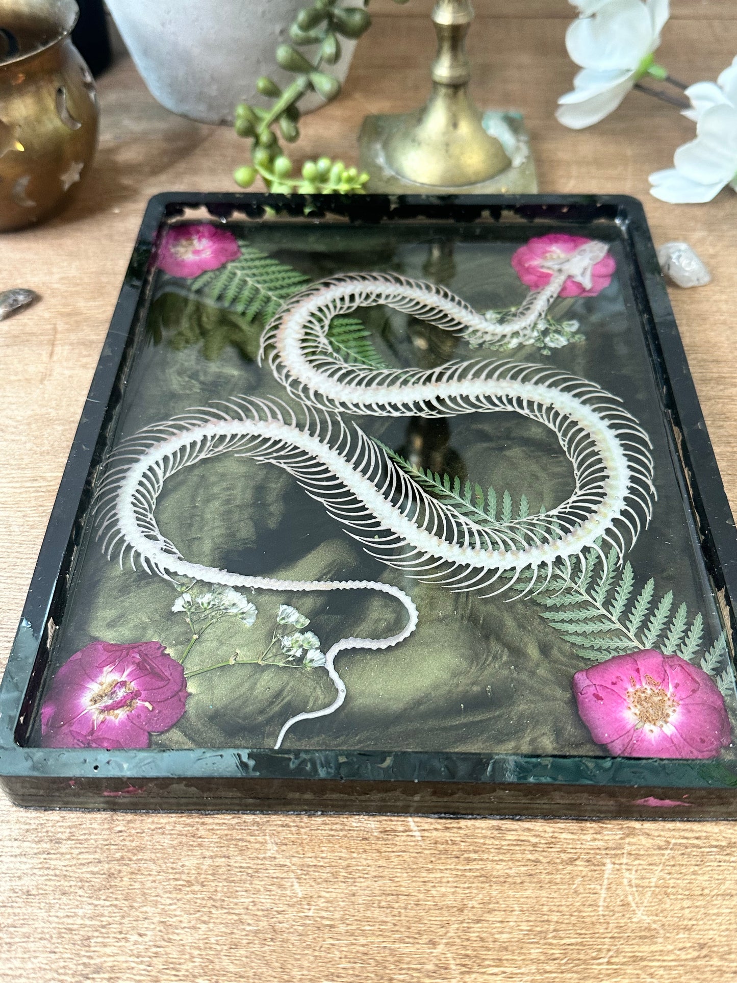 Black tourmaline snake trinket tray