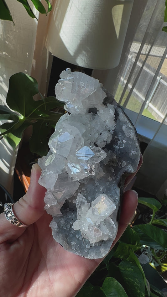 Apophyllite and stilbite on druzy Chalcedony Cluster