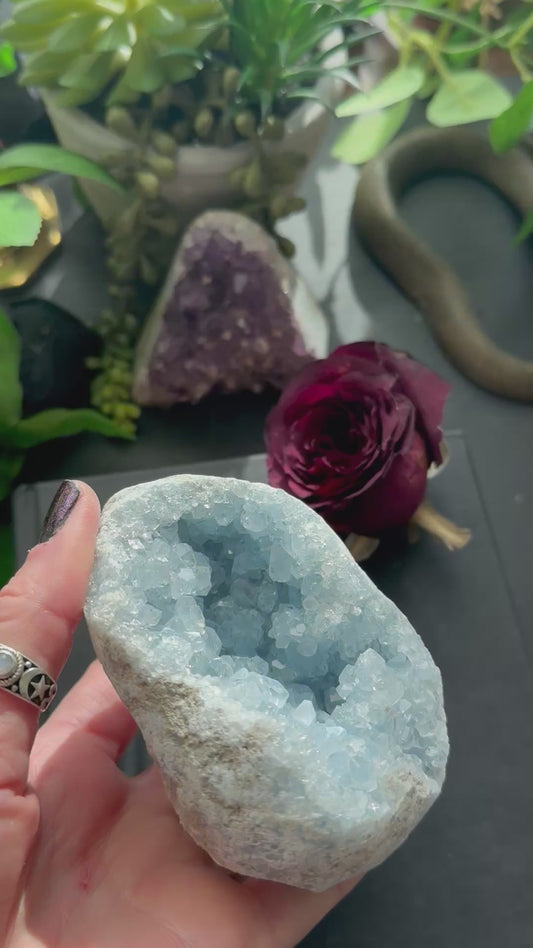 Celestite cluster D
