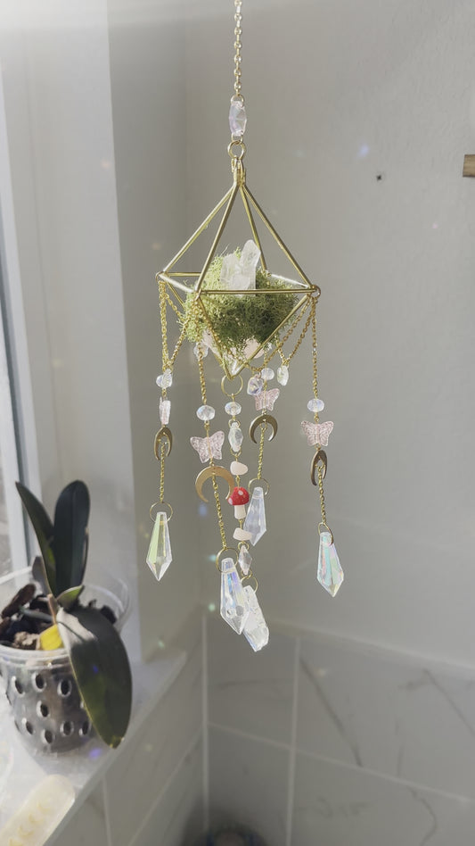 Cottage core sun catcher with moss and crystal cluster